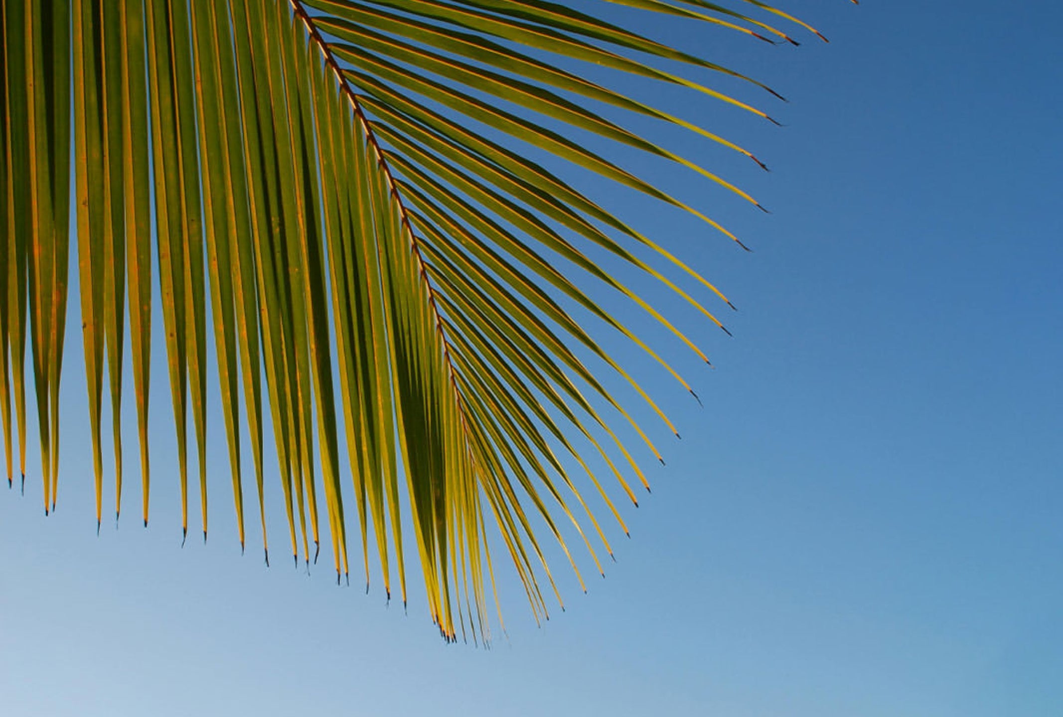 Glow on the Go: 9 Natural Beauty Travel Hacks