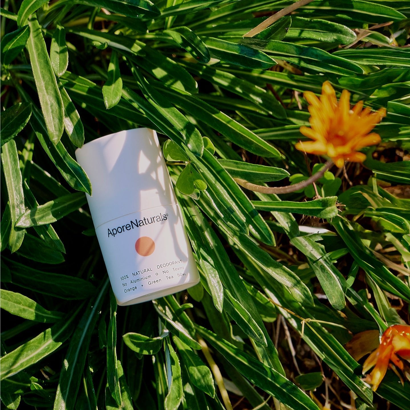 Orange + Green Tea - AporeNaturalsº